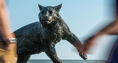 Students walking by the Wildcat statue